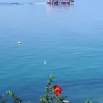 Falcon ポダツァ