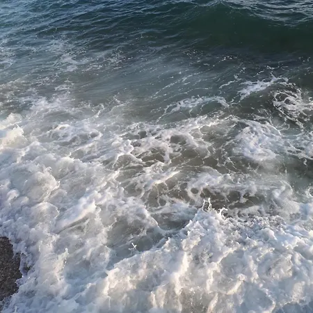 Pensjonat Falcon Podaca