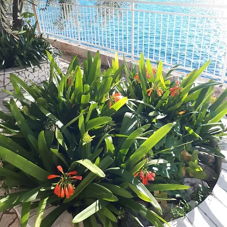 Falcon Guest house 3*