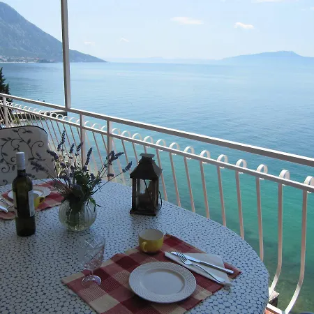 Guest house Falcon 3*