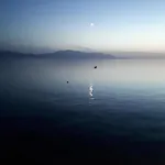 Falcon 招待所 波达卡