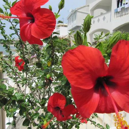 Falcon Vendégház 3*