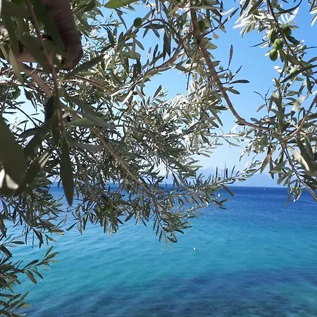 Falcon Vendégház Podaca