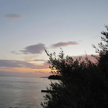 Vendégház Falcon 3*