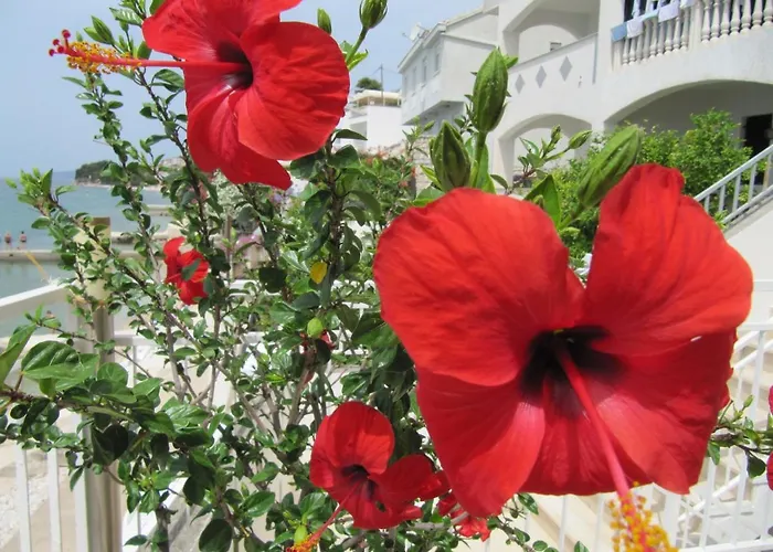 Falcon Гостевой дом 3*