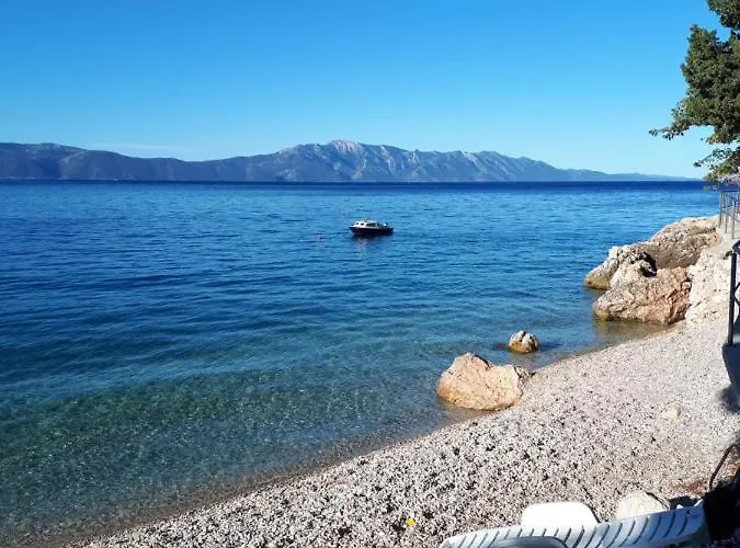 Falcon Гостевой дом 3*