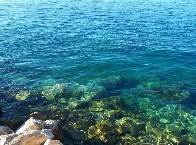 Falcon 3* Подаца