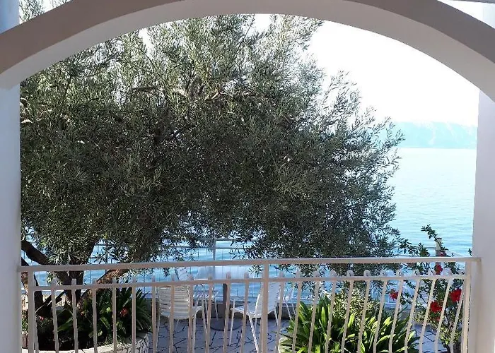 Гостевой дом Falcon 3*