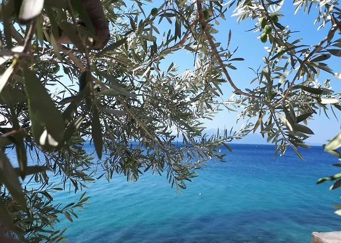 Falcon Гостевой дом Подаца