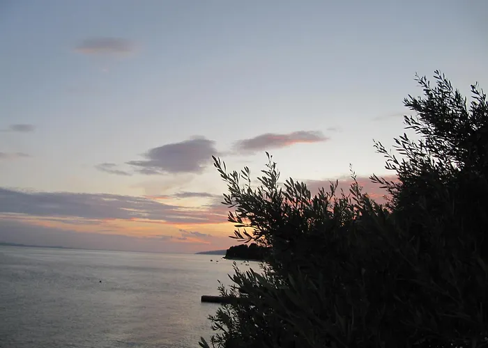 Гостевой дом Falcon 3*