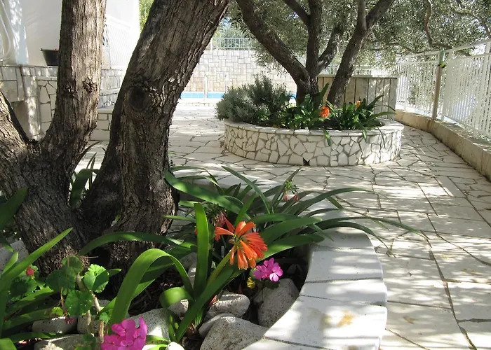 Falcon Гостевой дом 3*